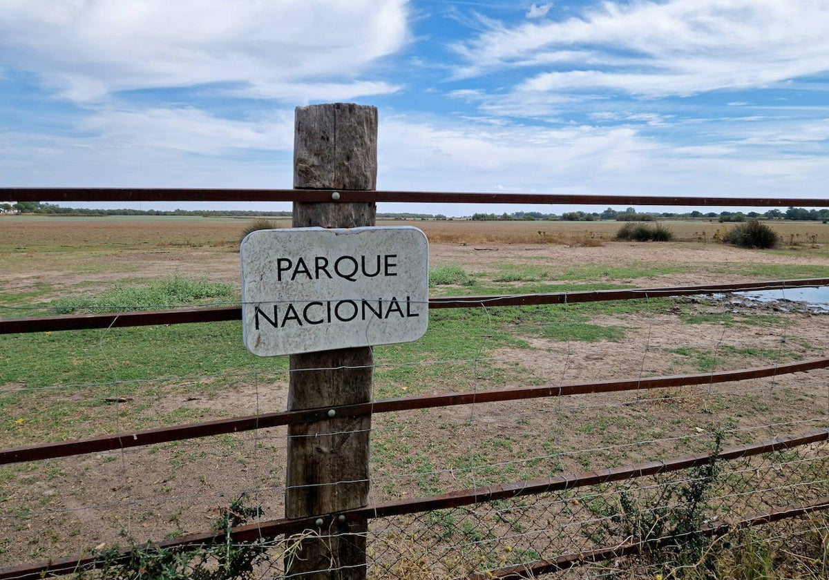 Parque Nacional de Doñana.