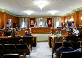 Pleno de Marbella.