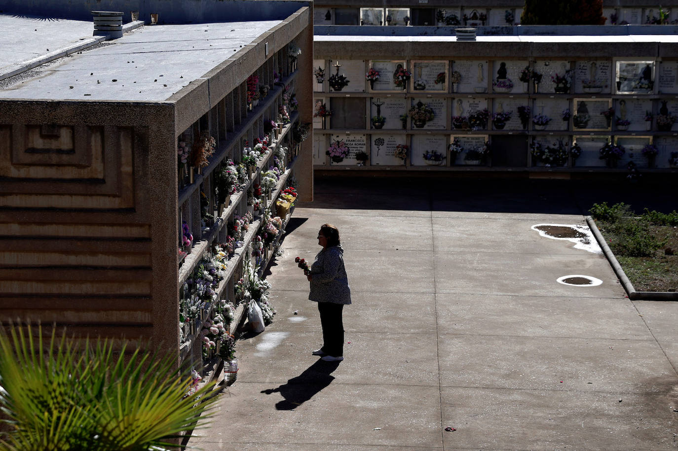 Parque Cementerio San Gabriel en Málaga capital.