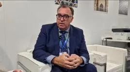 Arturo Bernal, consejero de Turismo, Cultura y Deporte de la Junta de Andalucía, hace balance de la World Travel Market 2023
