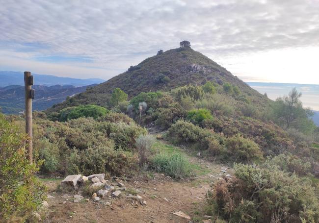 Puerto de Purla, una encrucijada de senderos de Ojén