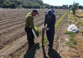 La Consejería de Agricultura abona el anticipo de la PAC de 2023 al sector agrario