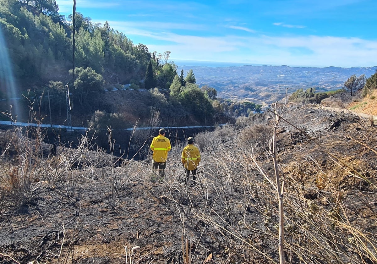 Controlado el incendio de Mijas tras calcinar unas 250 hectáreas de terreno