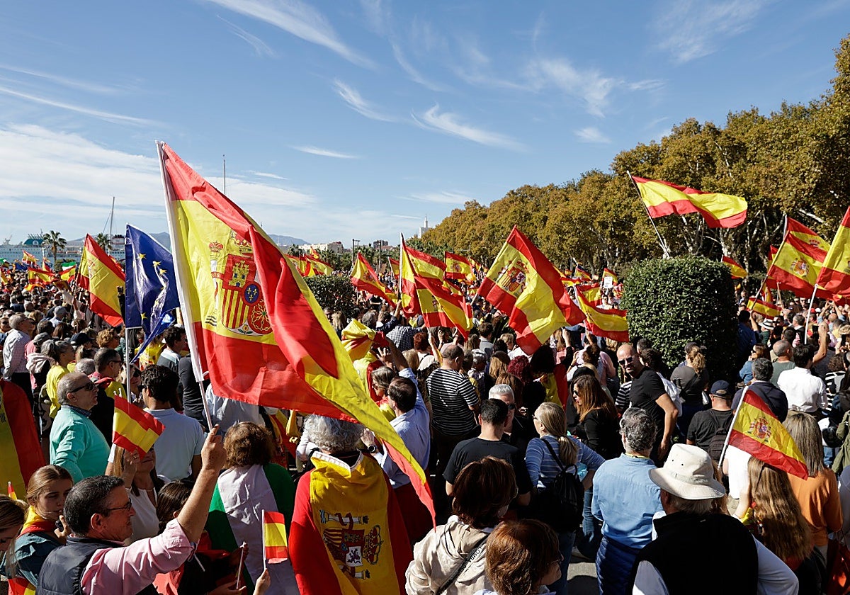 Vista de la manifestación de este domingo en Málaga.