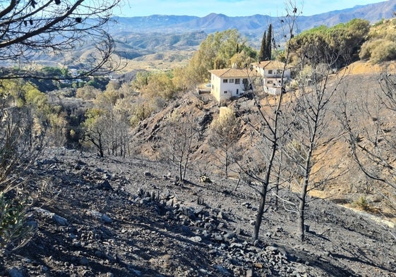 Terreno calcinado en el paraje de Valtocado, en Mijas.