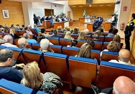 Pleno extraordinario celebrado en Fuengirola.