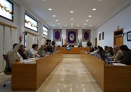 Celebración del pleno en el Ayuntamiento de Coín.