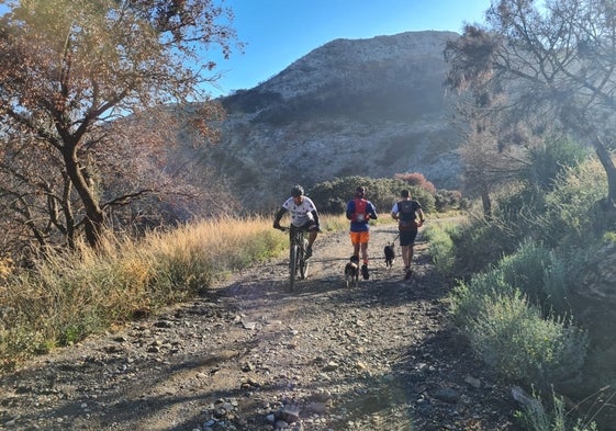 Un ciclista se cruza con corredores, en una ruta de fin de semana por Jarapalos.