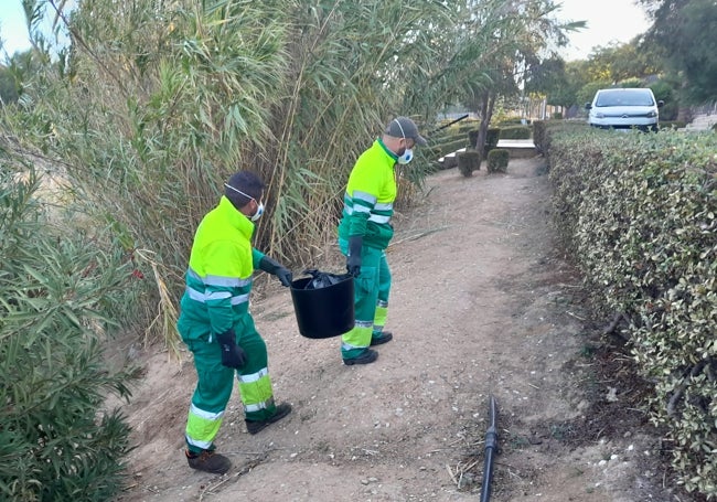 Los operarios la retiran los peces muertos de la laguna.