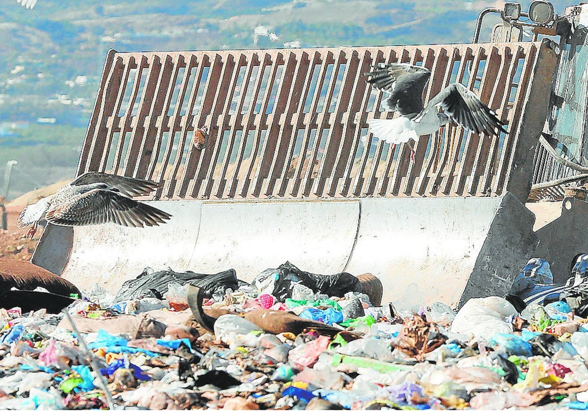 Imagen de archivo del vertedero situado en el centro ambiental Los Ruices.