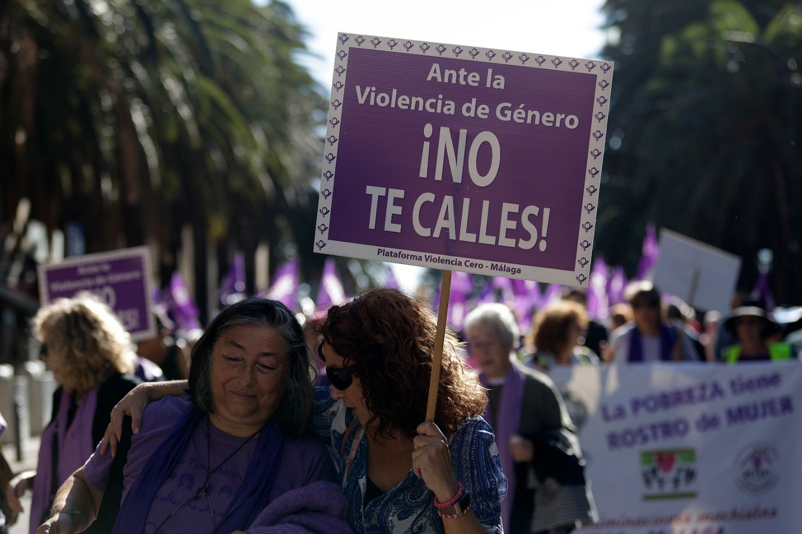 Unas 3.000 personas participan en la manifestación del 25N en Málaga