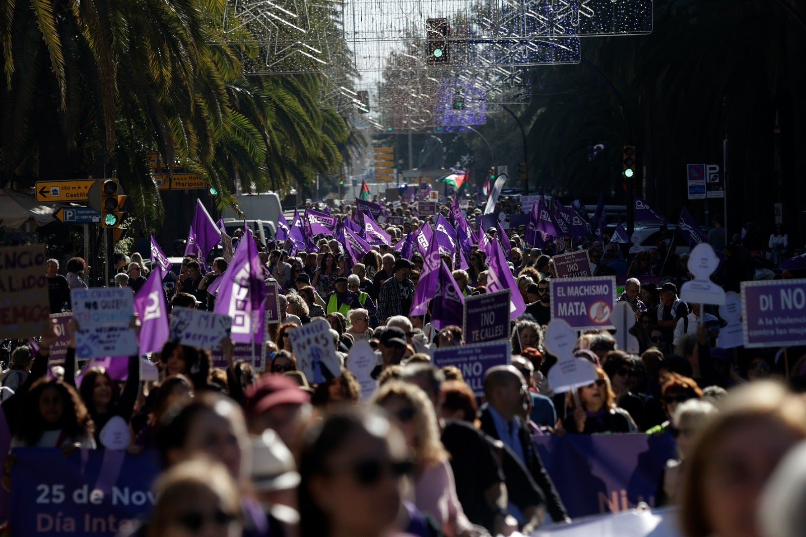 Unas 3.000 personas participan en la manifestación del 25N en Málaga