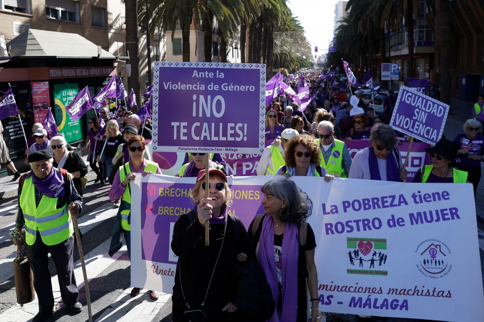 Unas 3.000 personas participan en la manifestación del 25N en Málaga