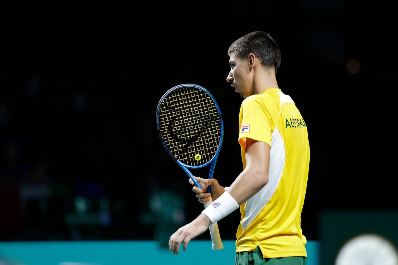 La Copa Davis, en Málaga