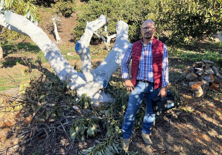 José María Guzmán, veleño de 50 años, junto a uno de los aguacates que ha talado por la extrema sequía en su finca situada en la zona del arroyo Cabrillas.