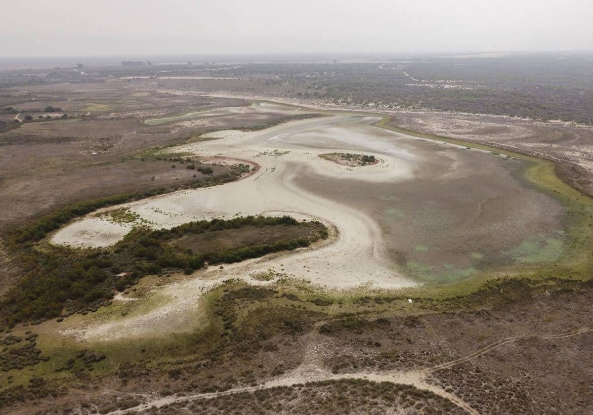 Adelante Andalucía ve «un rescate de la clase empresarial» en el acuerdo de Doñana: «Junta y Gobierno se tragan un sapo»