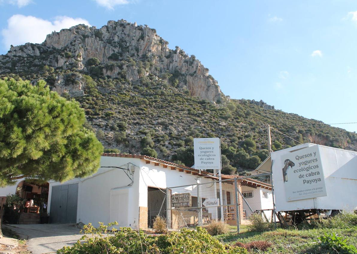 Imagen secundaria 1 - Bodegón de chocolates que elabora Maychoco. Abajo, la quesería Crestellina está en Casares. Al lado, Juan Ocaña, de la quesería Crestellina, y Mayte Sánchez, de Maychoco.