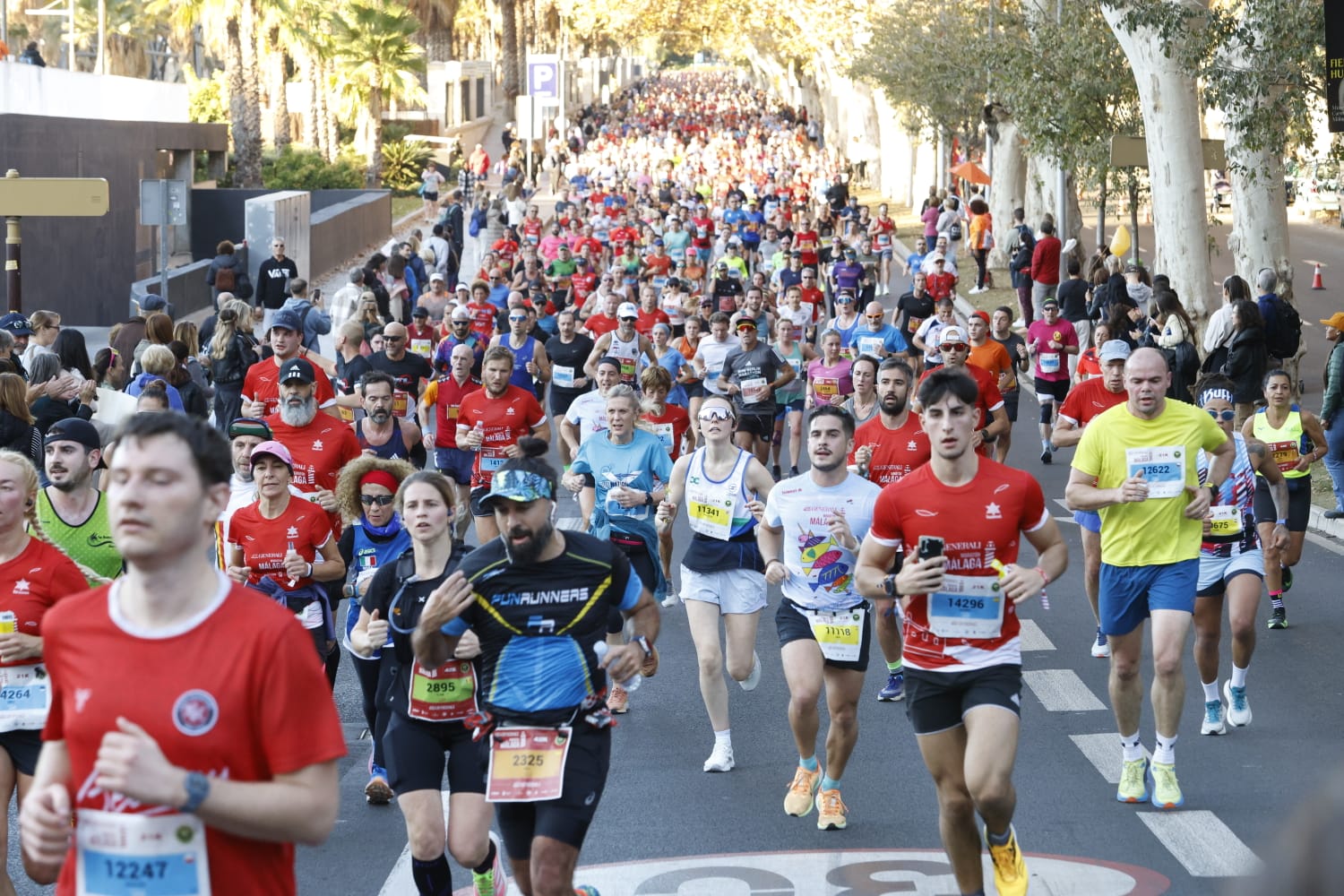 Las mejores imágenes del Maratón de Málaga 2023