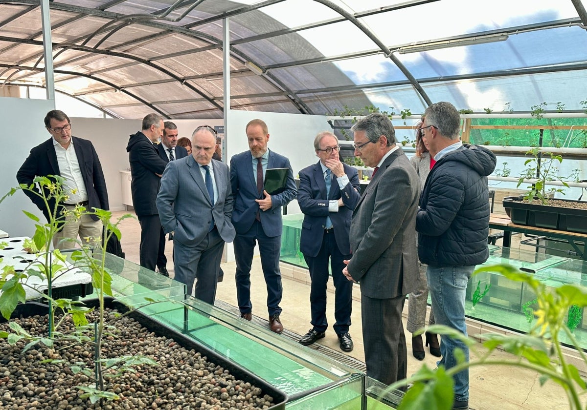 Francisco Salado, Marc Simón y Juan Ignacio Zafra, entre otros, visitan los cultivos hidropónicos de La Noria.