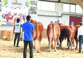 Imagen de la pasada edición.