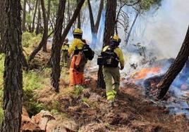 Málaga llega a fin de año con menos de la mitad de los incendios registrados en 2022