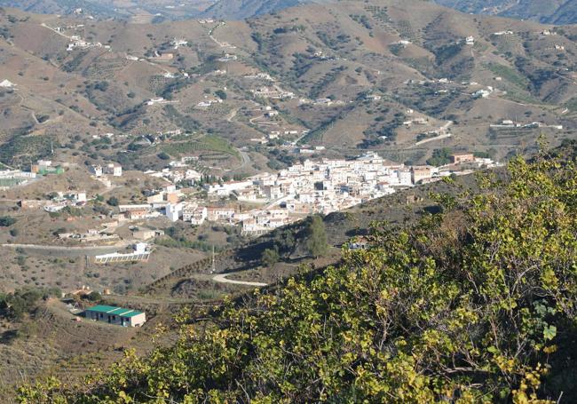 El viñedo es el elemento botánico que más destaca