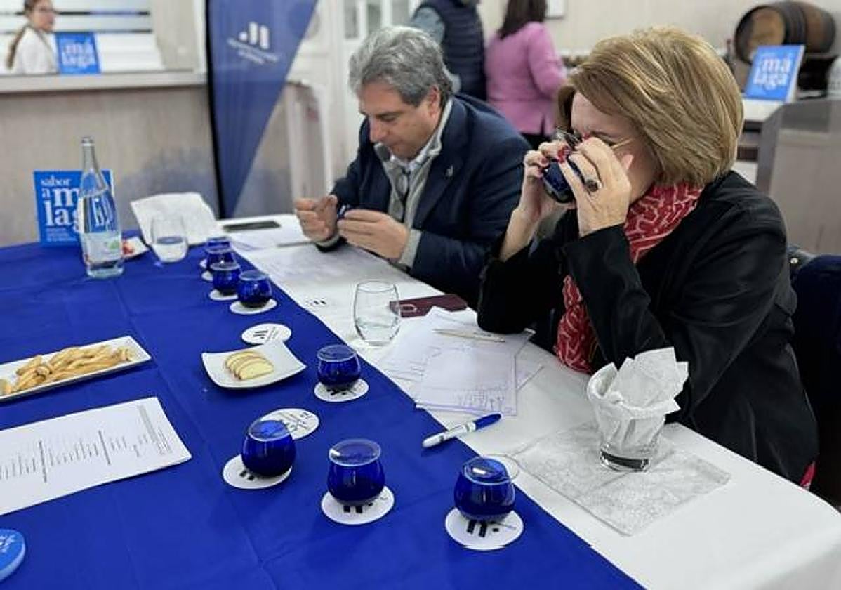 Estos son los mejores AOVE de la provincia de Málaga 2023