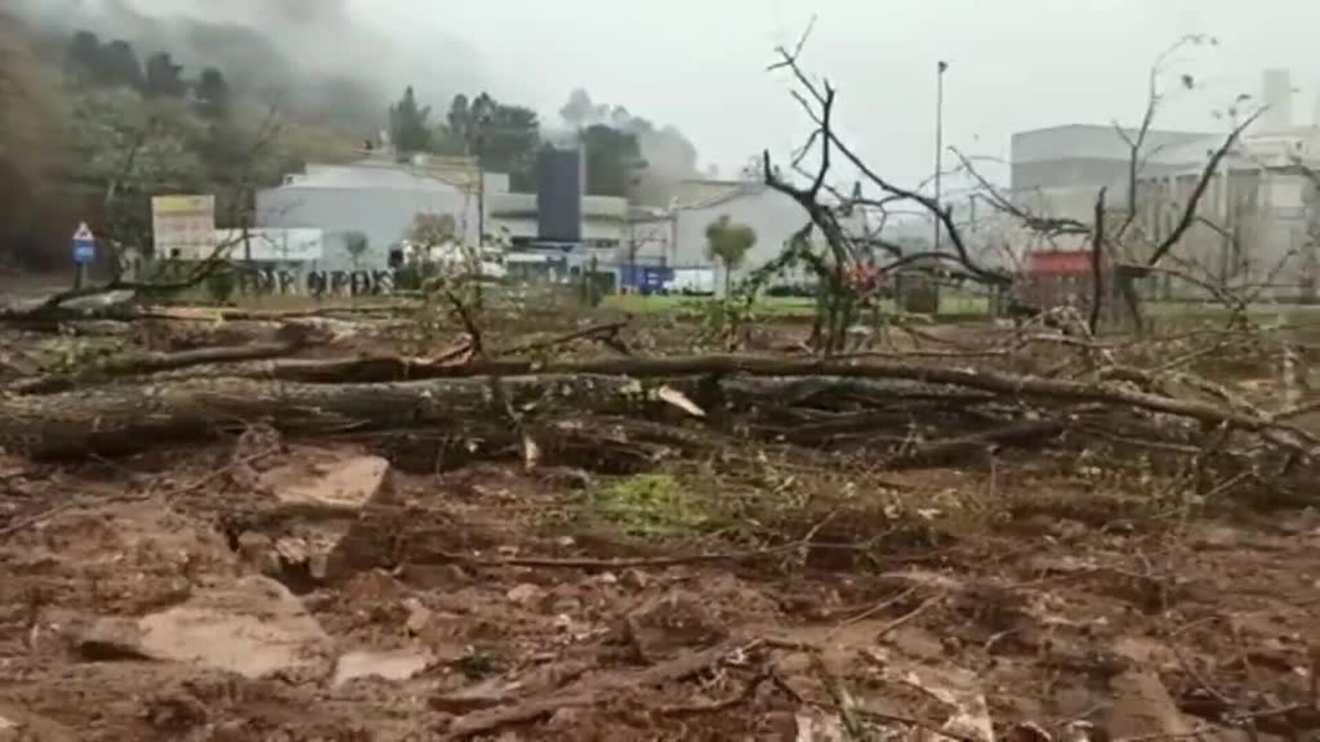 Galicia sufre un millar de incidencias por el último temporal