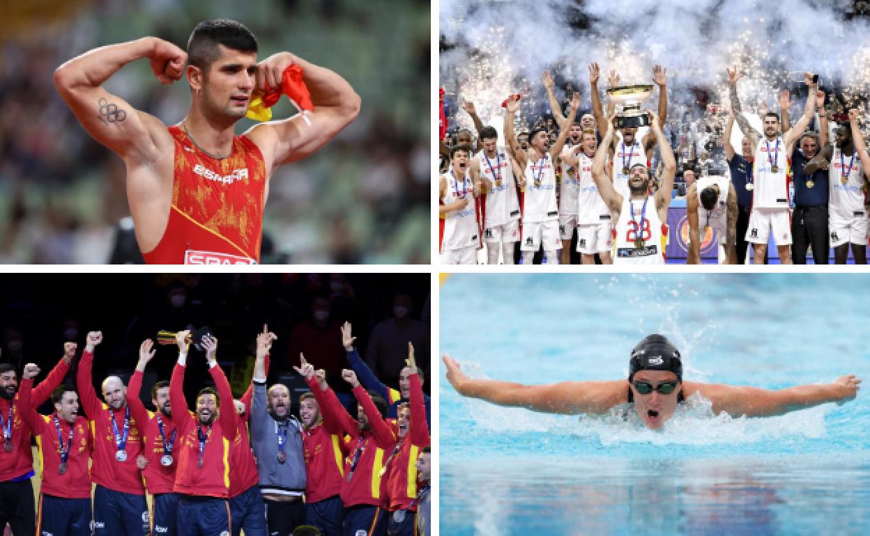 El atleta Asier Martínez, las selecciones masculinas de baloncesto y balonmano, y la nadadora Mireia Belmonte.