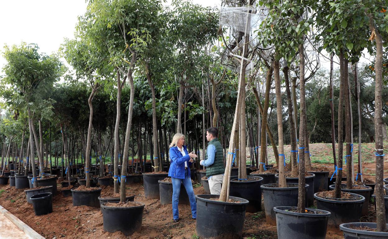 La alcaldesa, Ángeles Muñoz, y el edil de Parques y Jardines, Diego López. 