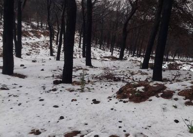 Imagen secundaria 1 - Marbella, Mijas y Granizo en Rincón de la Victoria. 