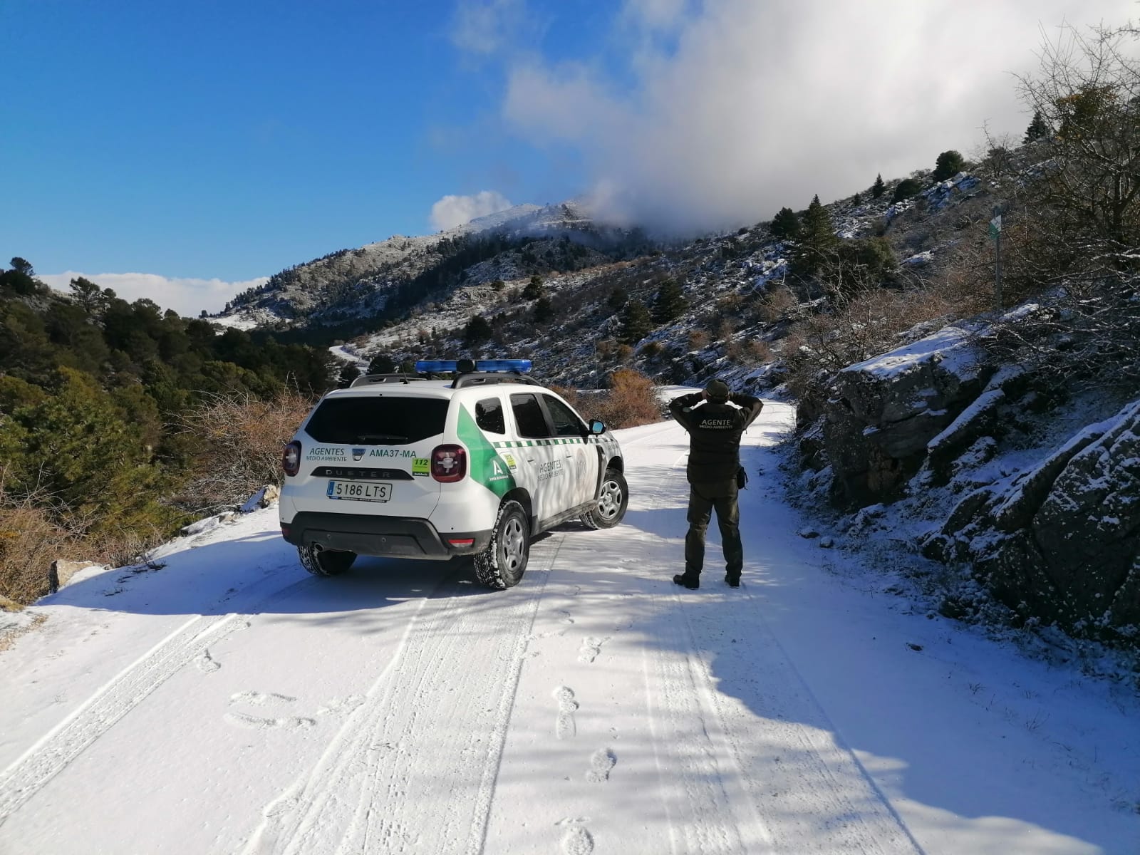 Cierran el acceso rodado a la Sierra de las Nieves por la carretera de Ronda-San Pedro por la formación de placas de hielo