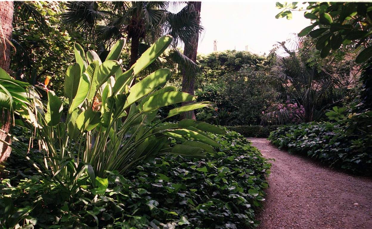 Jardín Botánico de La Concepción. 