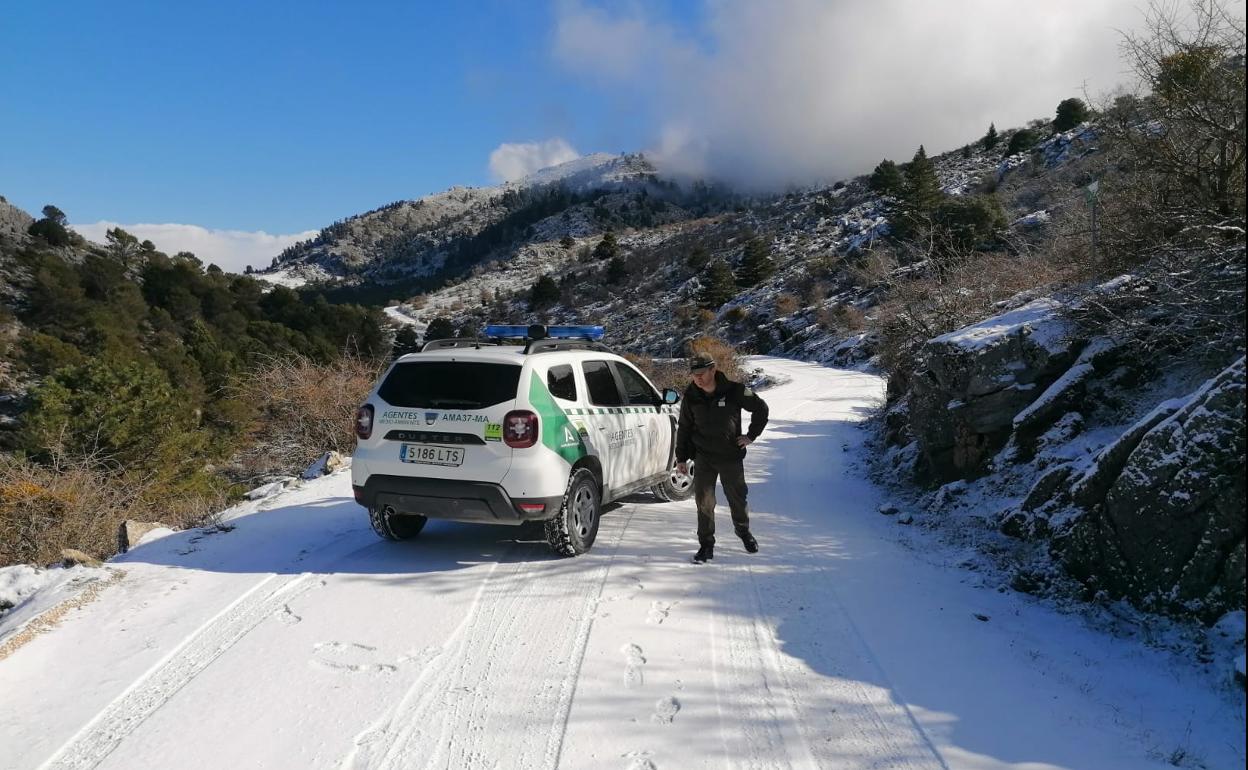 El acceso a la Sierra de las Nieves permaneció cortado al tráfico por el riesgo de hielo. 