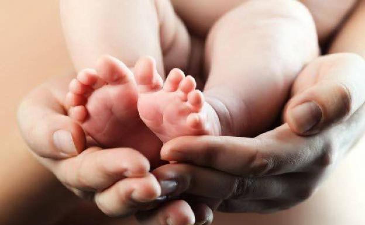 Reconocen la prestación por maternidad a una mujer que adoptó al hijo de su pareja