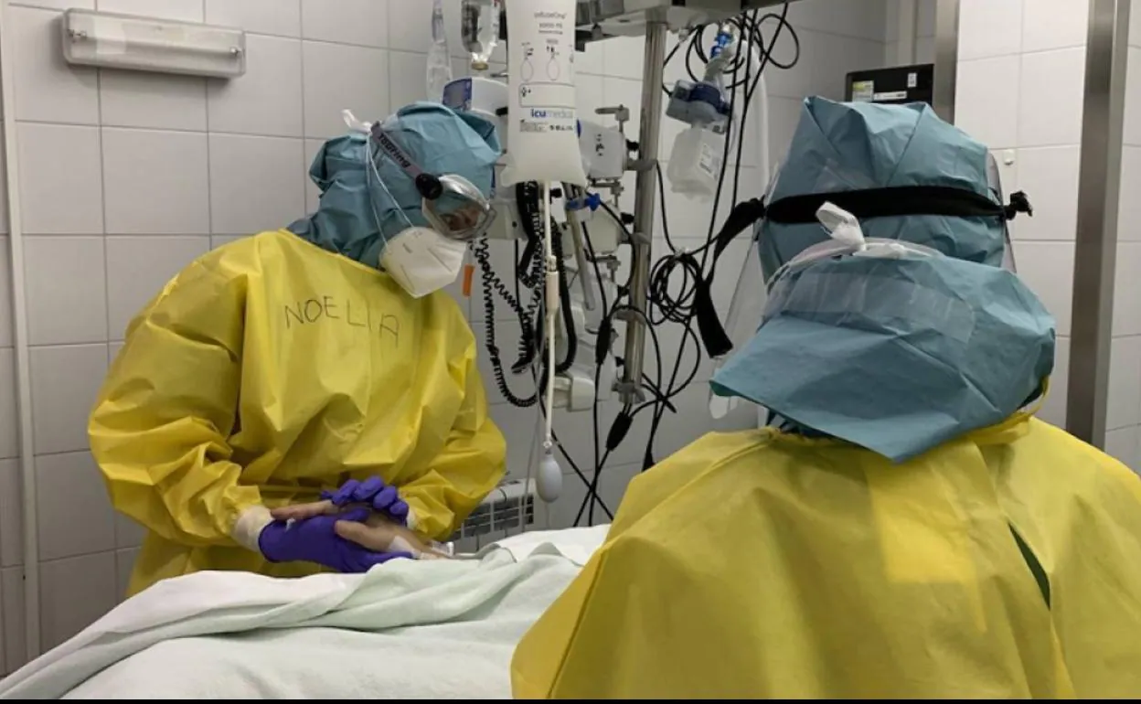 Coronavirus: Andalucía suma 610 casos y 38 muertes por covid 