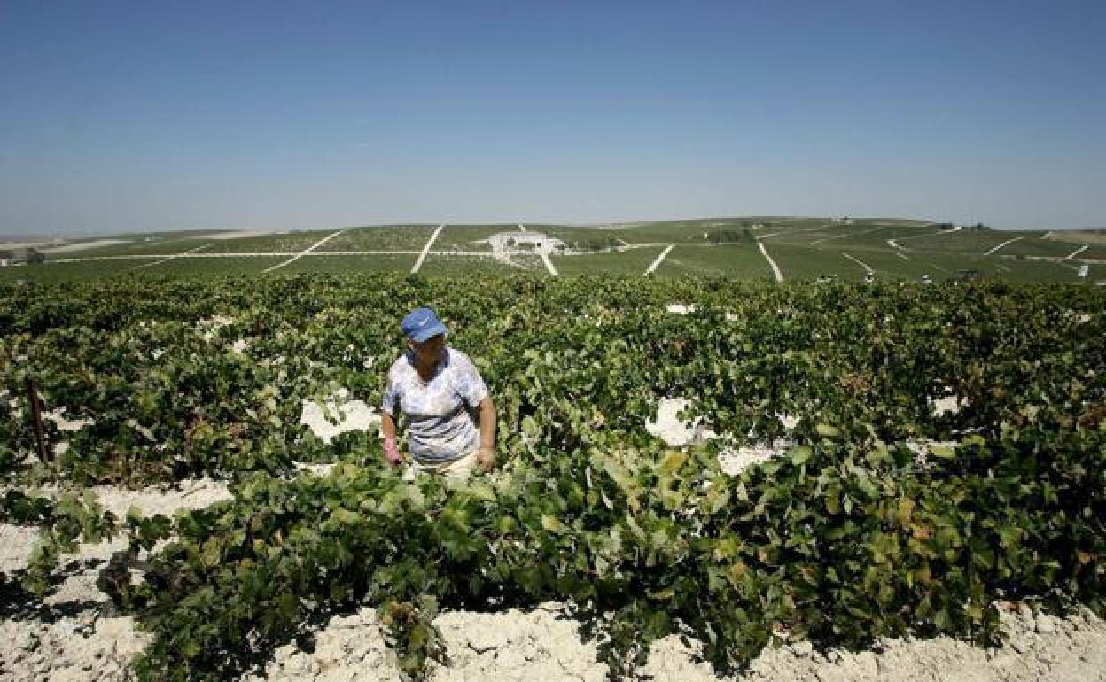 Los trabajadores del sector tienen hasta el 31 de marzo para presentar sus solicitudes de ayuda