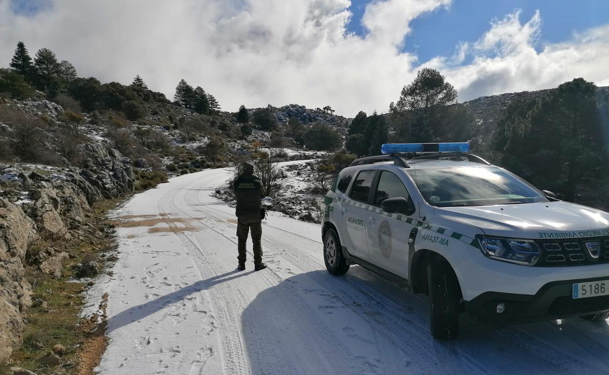 Entre hoy y mañana Aemet espera que volverá a nevar en cotas altas de la Sierra de las Nieves. 