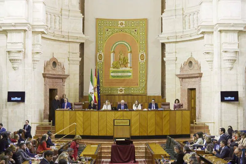 Parlamento de Andalucía. 
