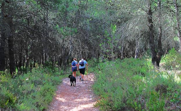 Este sendero, que parte del Nacimiento de Coín, llega hasta los Llanos de Matagallar.