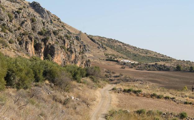 El camino pasa a los pies de cerro Sábora, en Cañete la Real.