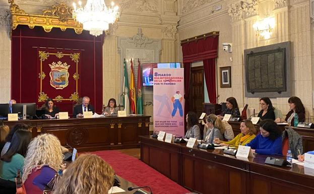 El Consejo de la Mujer, ayer por la tarde, en el salón de plenos del Ayuntamiento de Málaga. 