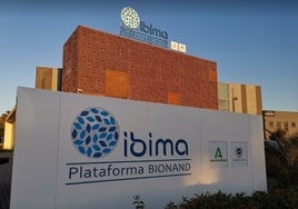 El IBIMA captó el año pasado 30 millones de euros para investigación, 6 más que en 2022