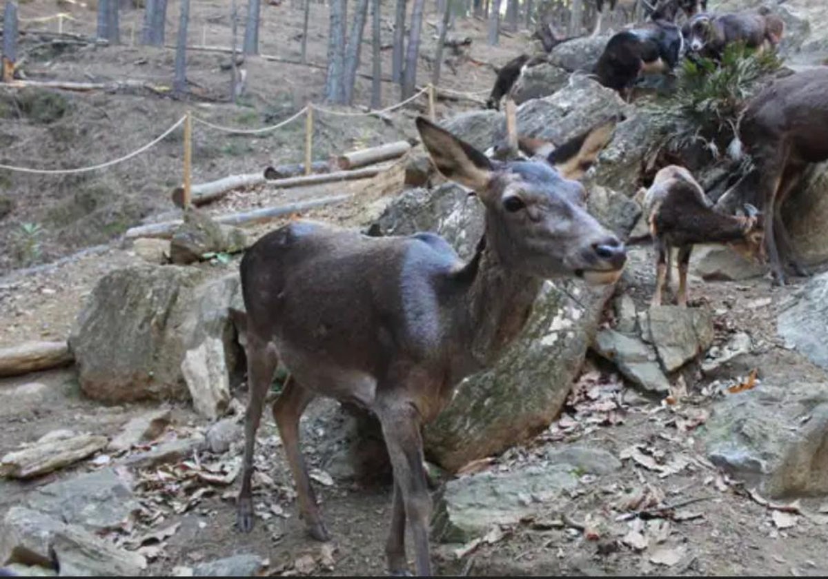 Imagen de la Eco Reserva de Ojén