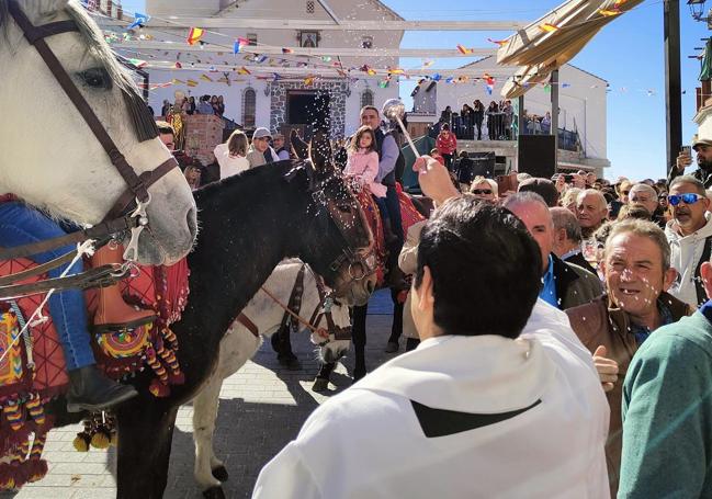 El párroco del pueblo bendecirá animales este domingo frente a la iglesia de Sedella.