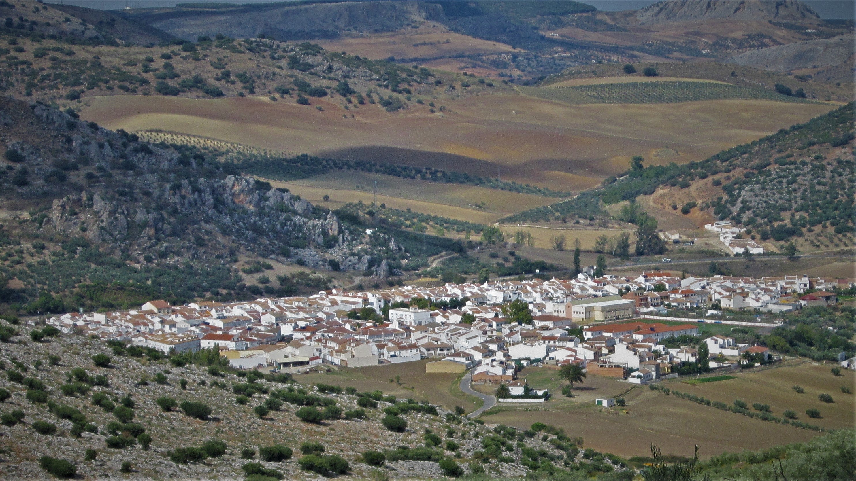 Vista panorámica de Cuevas del Becerro desde uno de los puntos más elevados de su territorio.