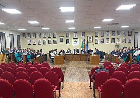 Imagen de la Junta Plenaria de la Mancomunidad de Municipios de la Costa del Sol Oriental-Axarquía.