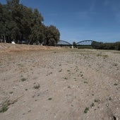 «En estos 30 años no hemos aprendido lo suficiente sobre la escasez de agua en Málaga»