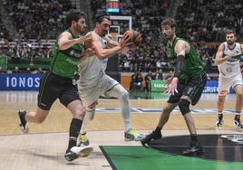 Tomic, a placer para cerrar la racha del Unicaja