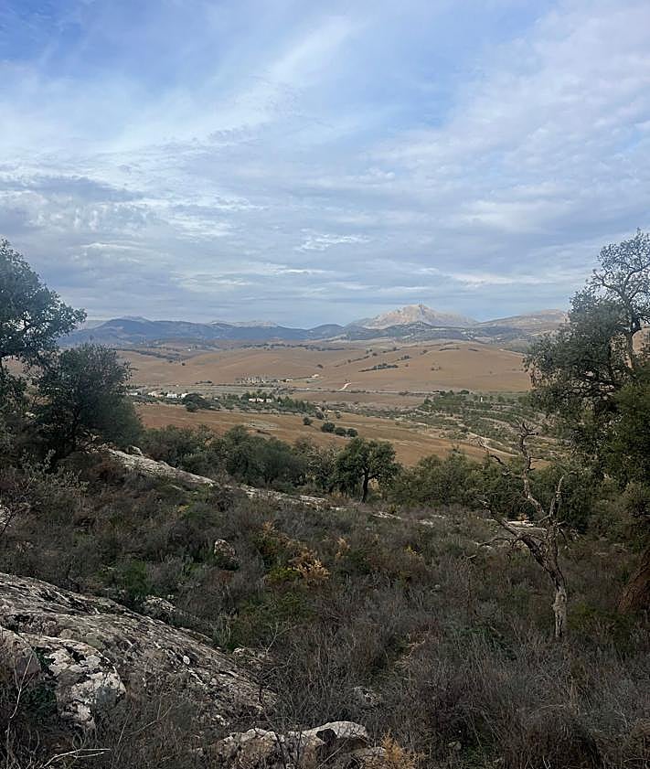 Imagen secundaria 2 - El conjunto de pinturas rupestres al aire libre más importante de Andalucía que está en Málaga (y puede visitarse gratis)
